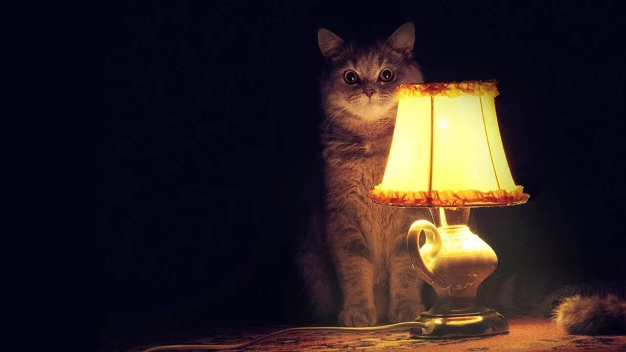 10 удивительных историй. Котолампа. вечер охуительных историй. настало время удивительных историй. настало время охуительных историй.