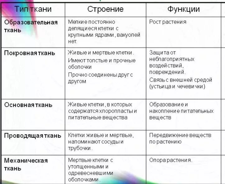 Ткань особенности строения функции таблица. Таблица название ткани особенности строения выполняемые функции. Название ткани выполняемая функция особенности строения. Таблица по биологии ткань строение функции. Таблица название ткани особенности строения функции.