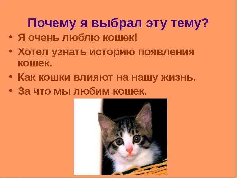 Почему людям нравятся коты