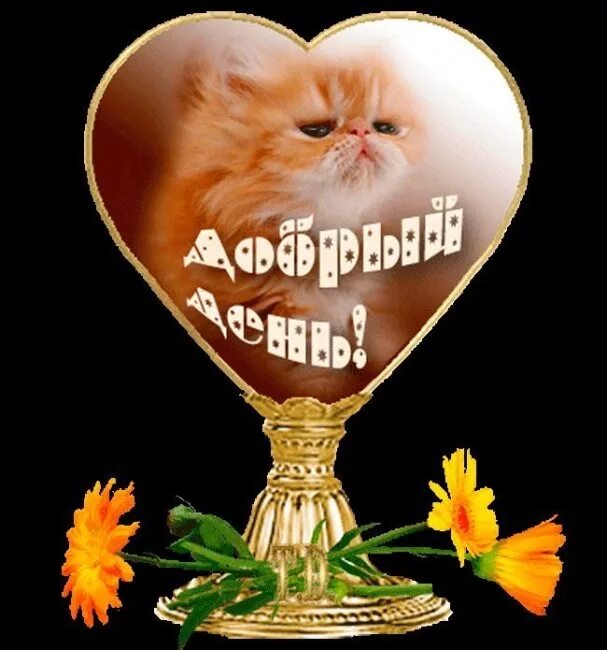 Доброго дня лене. Добрый день леночка открытка. Привет леночка открытка. Доброго дня лене. Добрый день леночка.