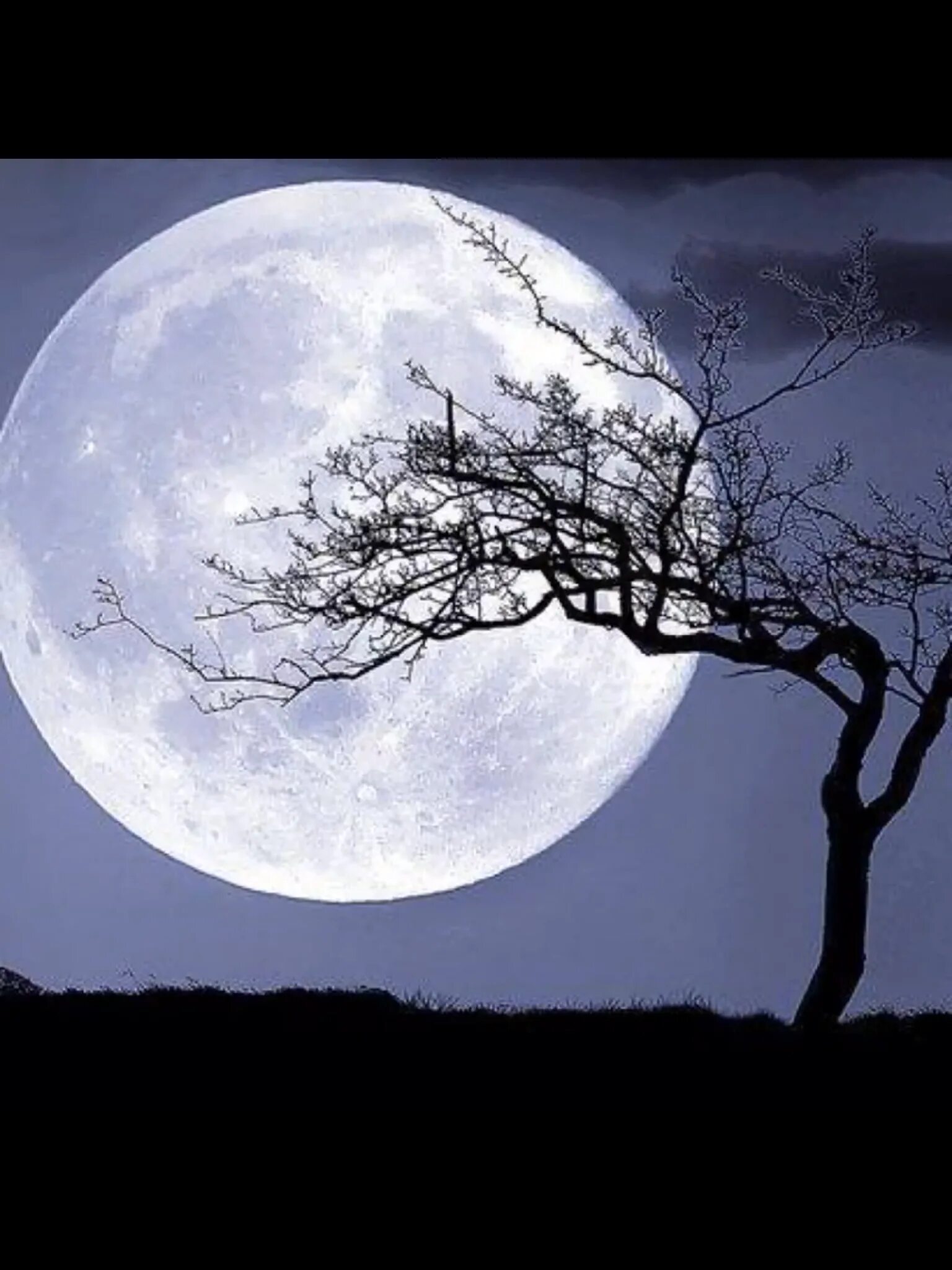 Your full moon. Your full moon. Полная луна. Мистическая луна. Загадочная луна.