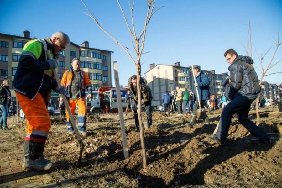 Акция озеленение