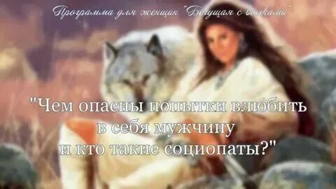 Бегущая с волками краткий