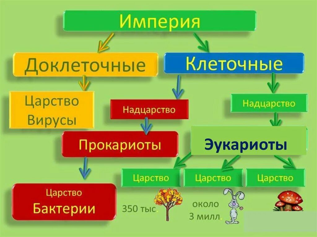 Надцарство эукариот царство животные. Империя клеточные Надцарство эукариоты царство животные. Царство вирусы Надцарство. Надцарство эукариоты схема