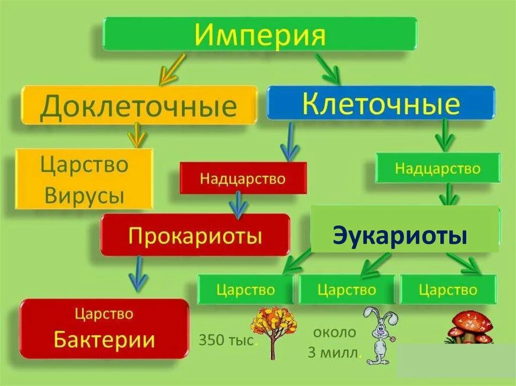 Какие 2 типа различают в живой природе