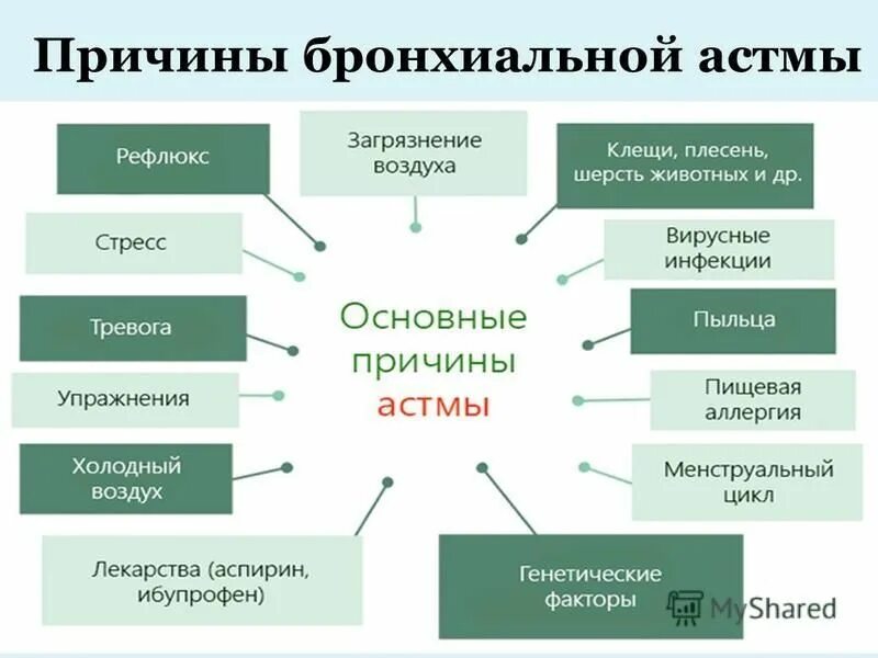 Бронхиальная астма психосоматика