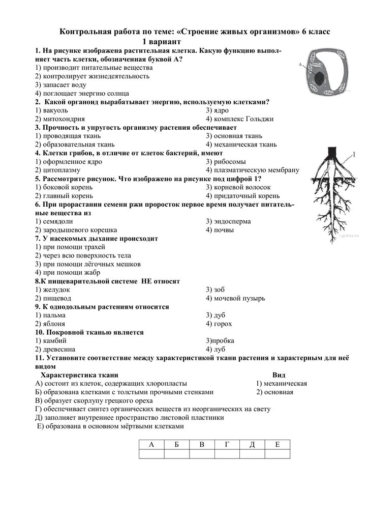 Тест по биологии шестого класса. Биология 6 класс проверочные работы. Биология 1 четверть 6 класс тесты. Контрольные работы по биологии 6 класс Пономарева. Тест по тканям растений 6 класс с ответами.