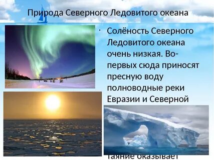 Северный ледовитый океан кратко