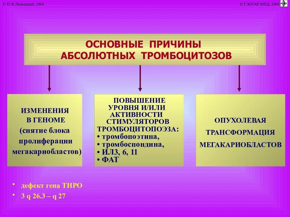 Симптомы тромбоцитоза у взрослых