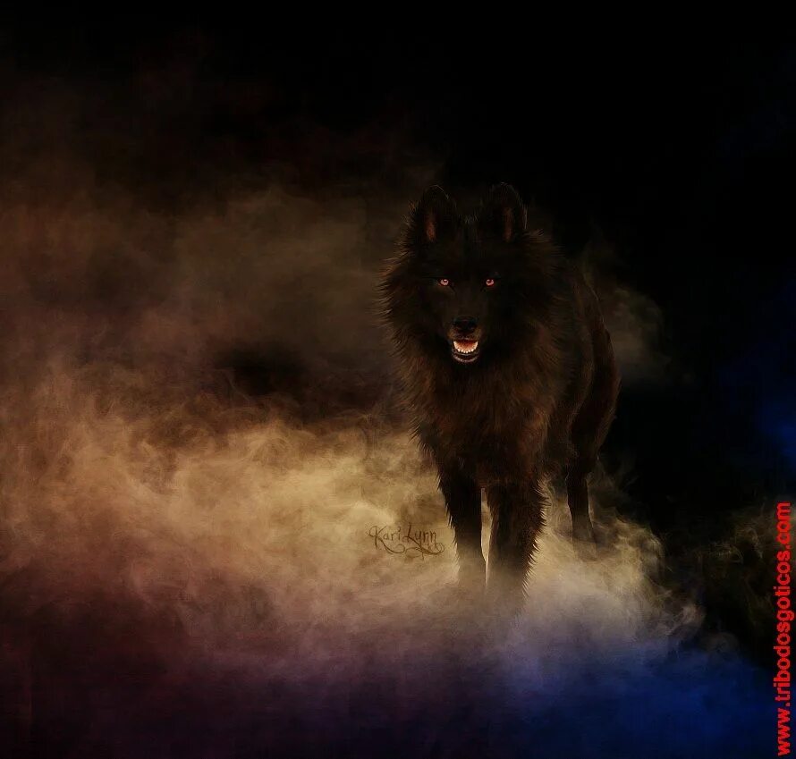 Глаза волка ночью. Черный волк. Волк в ночи. Мистические волки. Темный волк.