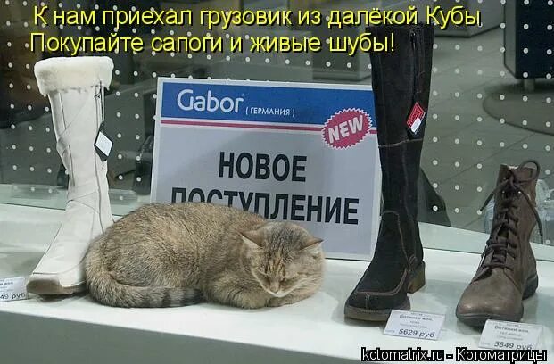 Ботинки бегемотики женские. Ботильоны зимние замша. Картинка купил сапоги везде пропускают. Сапог жив. Ботинки с цветами.