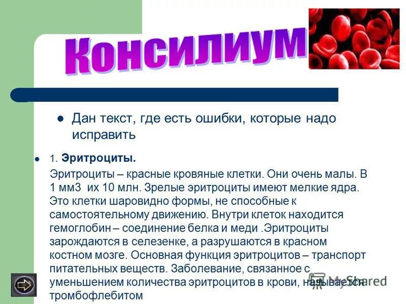 Зрелый эритроцит человека имеет ядро. Зрелые эритроциты человека. 2 мкм. Зрелые эритроциты имеют мелкие ядра. Зрелый эритроцит человека имеет.