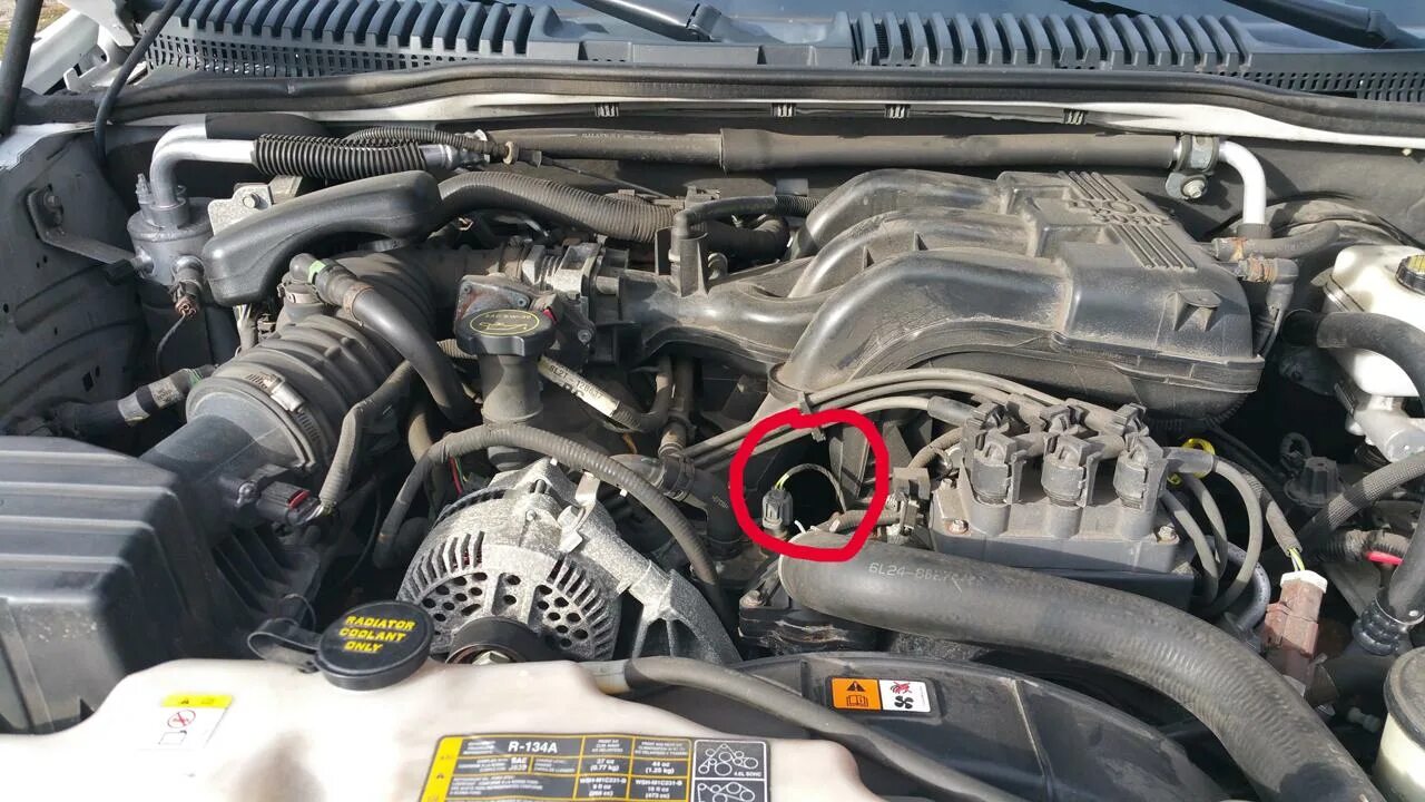 Датчик температуры ГБЦ 8S4Z6G004A FORD DMCAT.RU