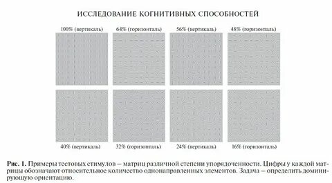 Тест когнитивных способностей ответ