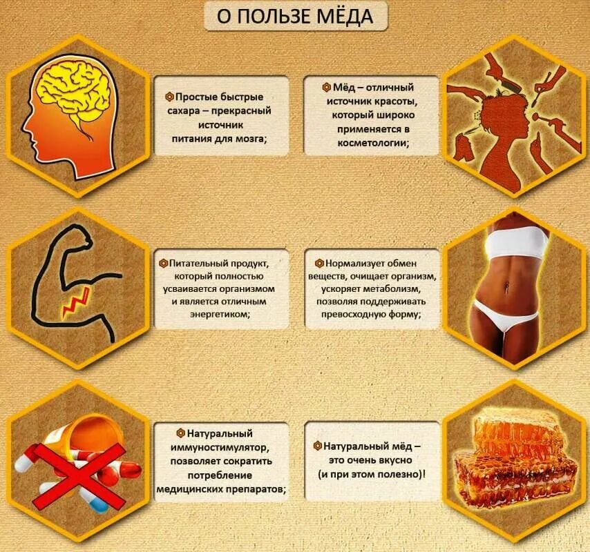 Кратко польза. Чем полезен мед. польза меда. полезные свойства меда. чем полезен мед для человека.