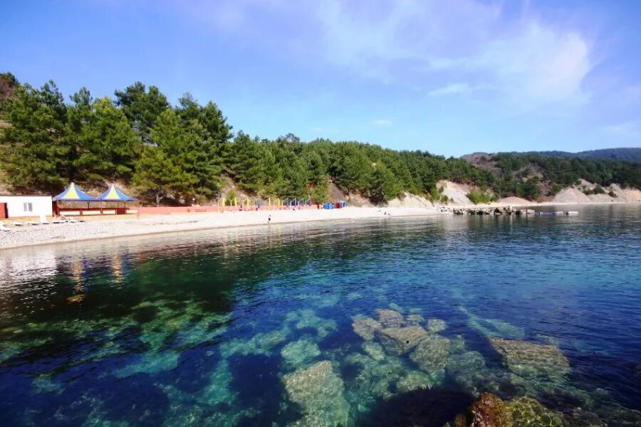 сосновый берег небуг. сосновый берег пос сосновый краснодарский край. поселок сосновый туапсе. сосновый край коттеджный поселок. сосновый туапсе.