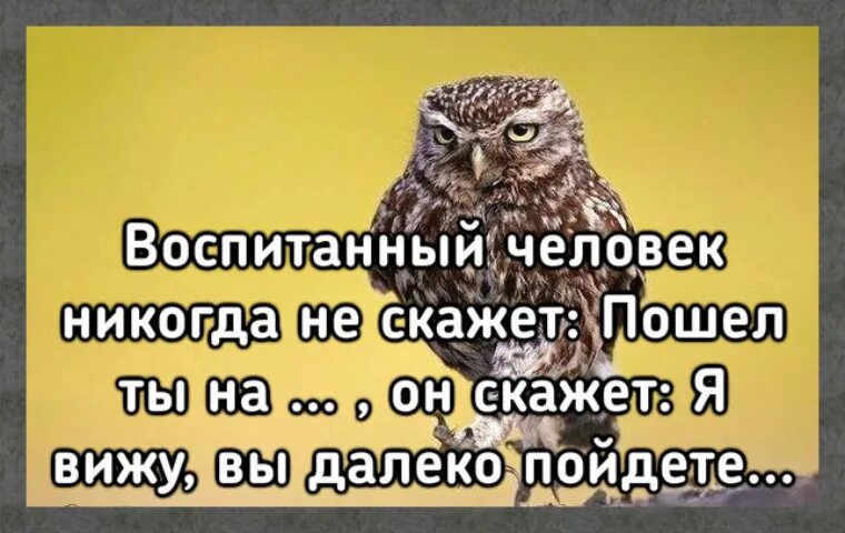 Будешь дальше чем видеть. Воспитанный человек никогда не скажет. Воспитанный человек никогда не скажет пошел ты. Воспитанный человек это. Я вижу вы далеко пойдете.