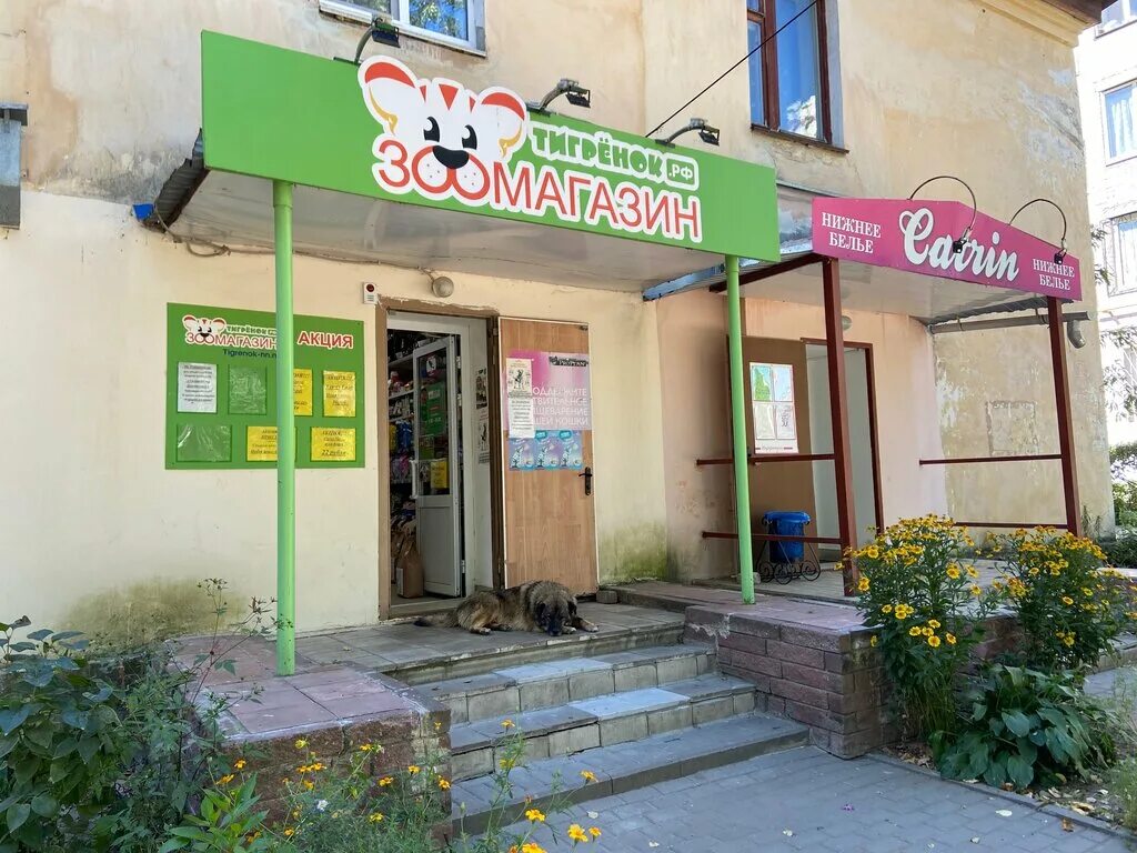 тигренок рф зоомагазин. зоомагазин тигрёнок нижний новгород каталог. зоомагазин тигрёнок нижний новгород. тигренок нижний новгород. тигренок рф зоомагазин.