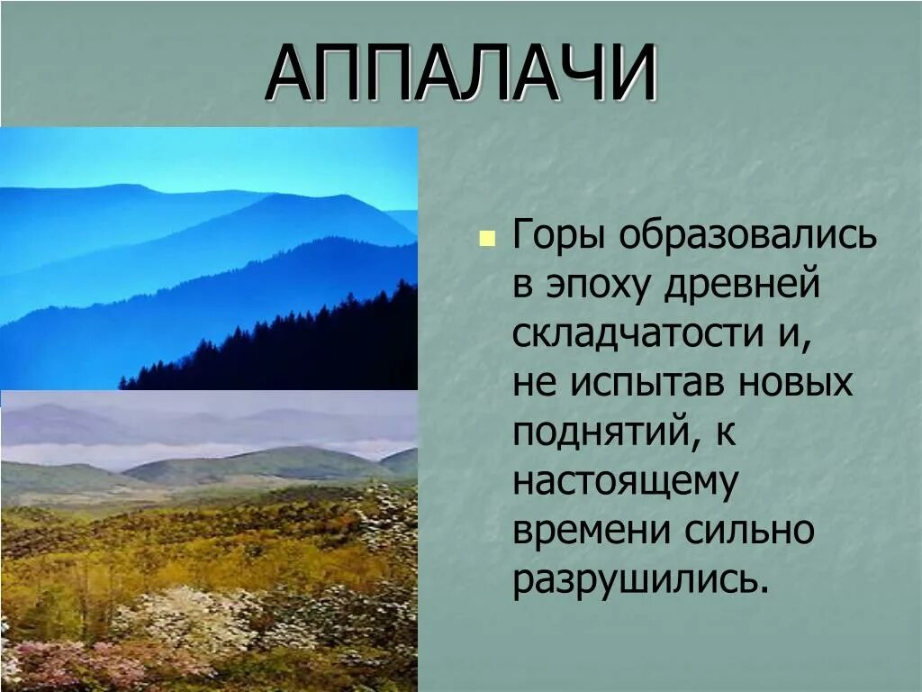 Аппалачи какая горная система. Внешний облик горы Аппалачи. Форма рельефа горы Аппалачи. Северная Америка Аппалачи. Древние горы Аппалачи.