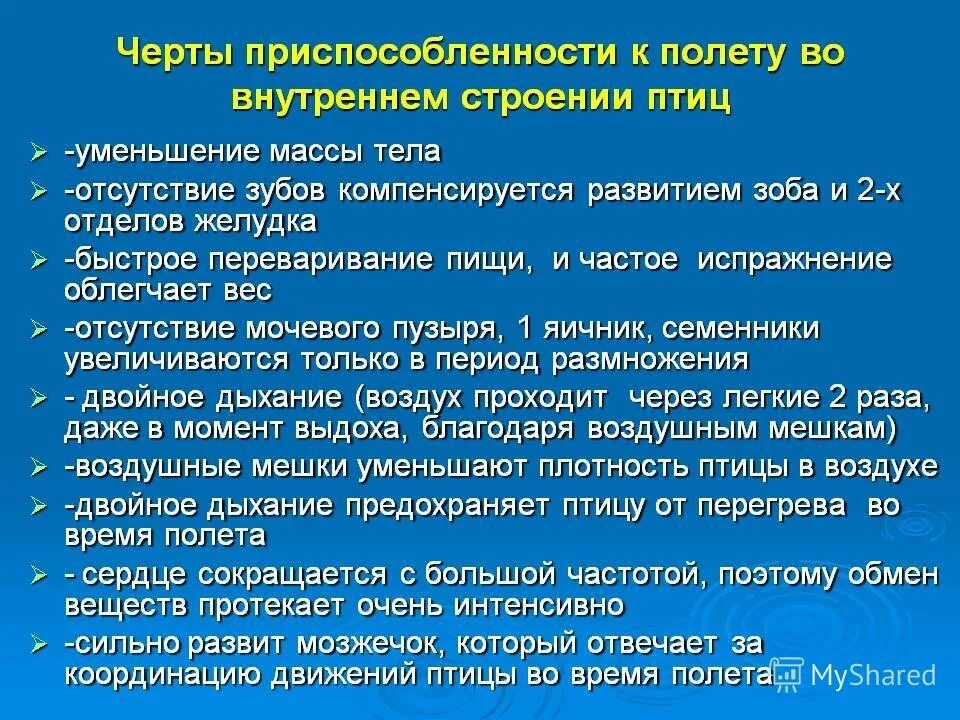 Приспособления птицы к полеьв. Приспособление птиц к полету во внешнем строении. Приспособление птиц к полету во внешнем строении. Основные приспособления птиц к полету. Признаки приспособления птиц к полету.