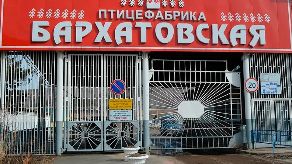 Птицефабрика бархатовская лого. Птицефабрика енисейагросоюз красноярск. Бахтин птицефабрика бархатовская. Бархатов птицефабрика бархатово красноярск. Бархатов птицефабрика бархатово красноярск.