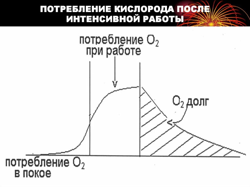 При физических нагрузках потребление кислорода. Потребление кислорода человеком схема. потребление кислорода при мышечной деятельности. потребление кислорода рыбой. потребление кислорода в покое.