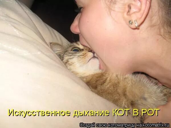 Дышу ртом форум. Жрать нечего. Че сожрать. Кот вздыхает во сне.