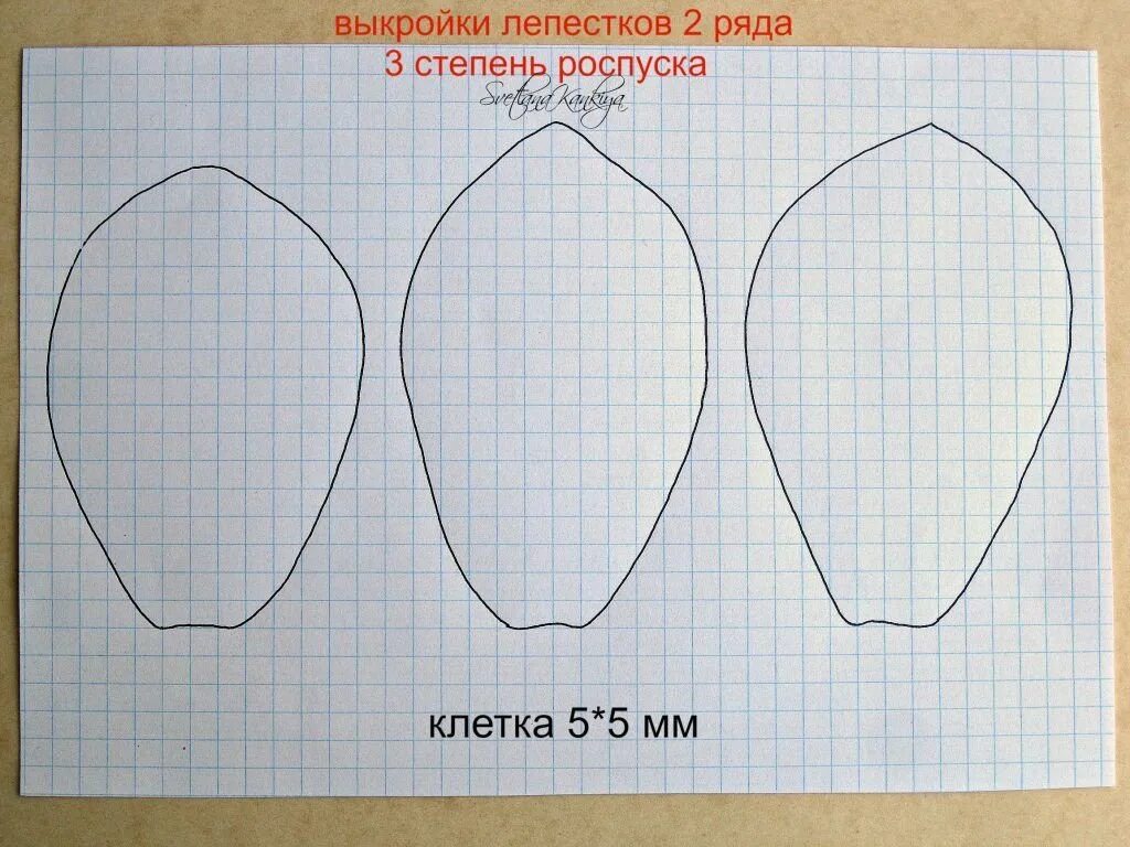 Лепесток тюльпана для вырезания. Трафарет лепестков. Формы лепестков цветов. Трафареты лепестков цветов. Лепесток трафарет.