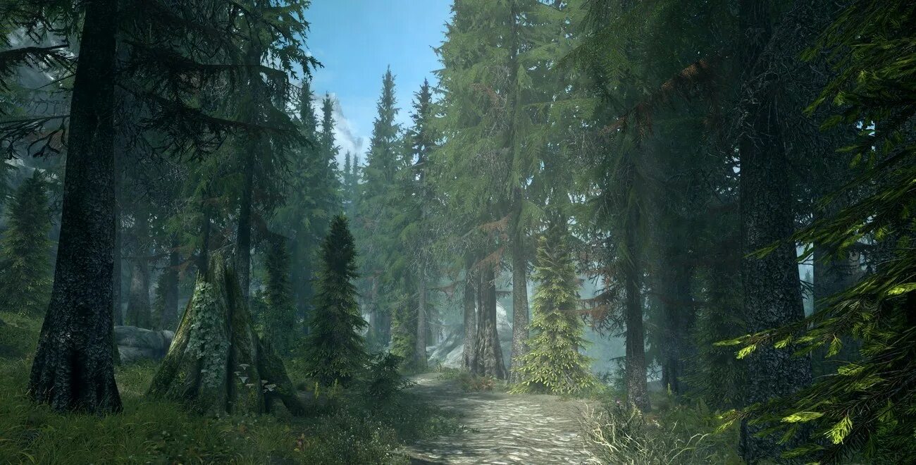 Skyrim se flora. Пейзаж скайрим рифтен лес. вечнозеленая роща скайрим. the elder scrolls 5: skyrim лес. туманная роща скайрим.