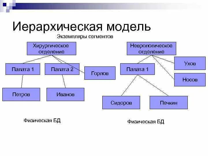 Модель иерархической системы. Иерархическая модель. Иерархическая модель макет.