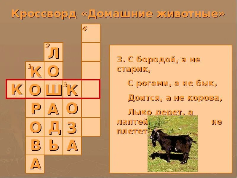 Кроссворд про домашних животных. Сканворд на тему домашние животные. Кроссворд с домашними животными. Кроссворд про домашних животных 2 класс. Бородой трясет лыко дерет а лаптей