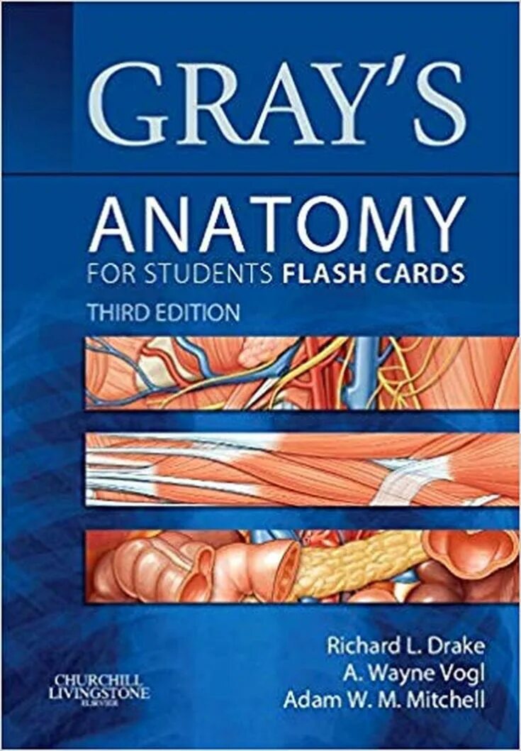 Атлас грея. Книга Gray's Anatomy for students. Атлас анатомии Грея. Анатомия Грея учебник. Grey's Anatomy учебник.