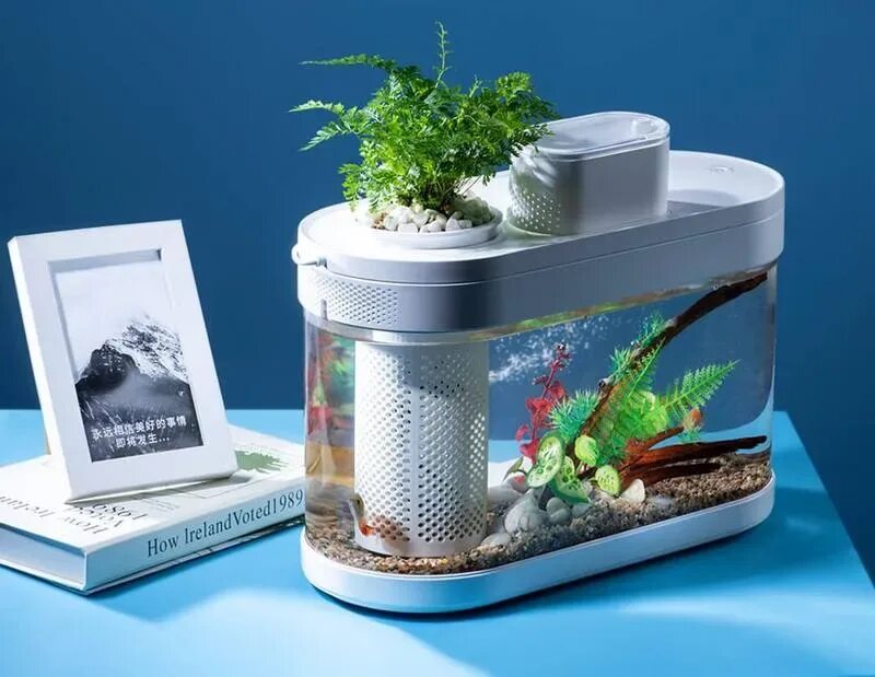 Акваферма купить. Акваферма Xiaomi Fish. Аквариум Xiaomi descriptive Geometry c180 Smart Fish Tank. Аквариум Xiaomi Eco Fish Tank. Аквариум Xiaomi - Geometry Fish Tank.