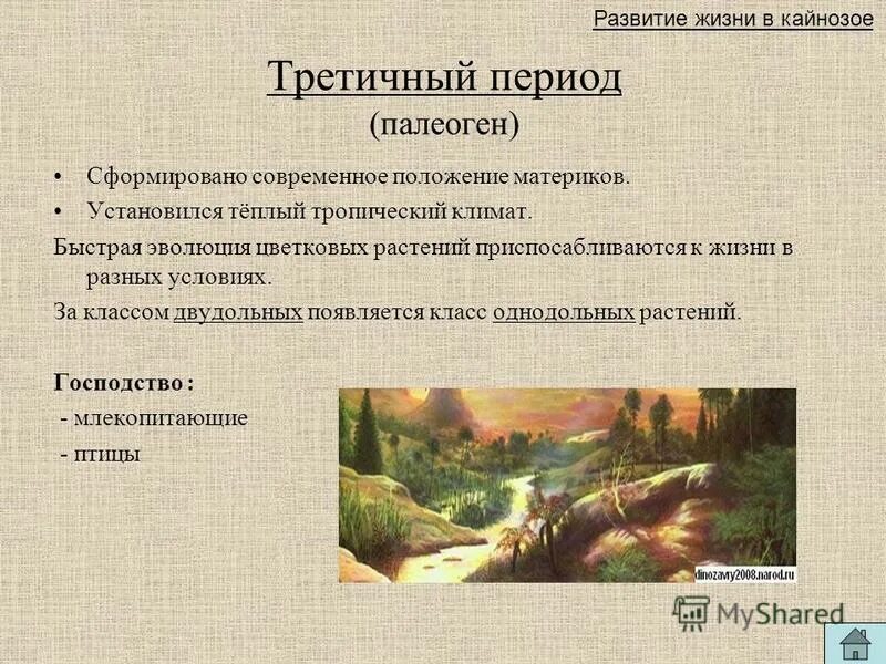 криптозой эры. протерозой растительный мир. криптозой архейская эра. архей организмы. прокариоты архейской эры.