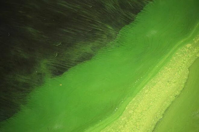 Фон грязная вода 42 фото