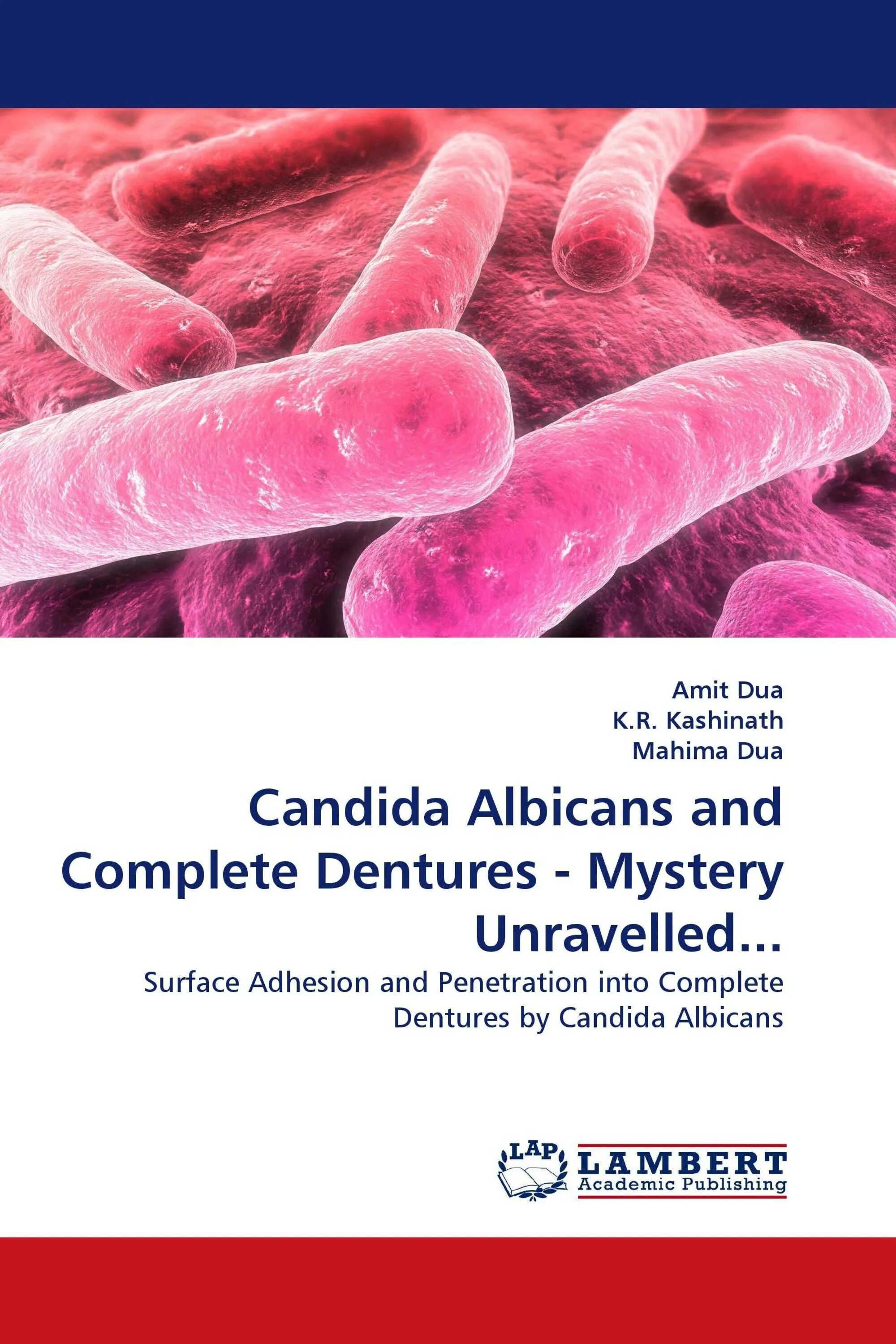 Candida albicans лечение. Микроорганизмы Candida что это. Нефтеокисляющие микроорганизмы.