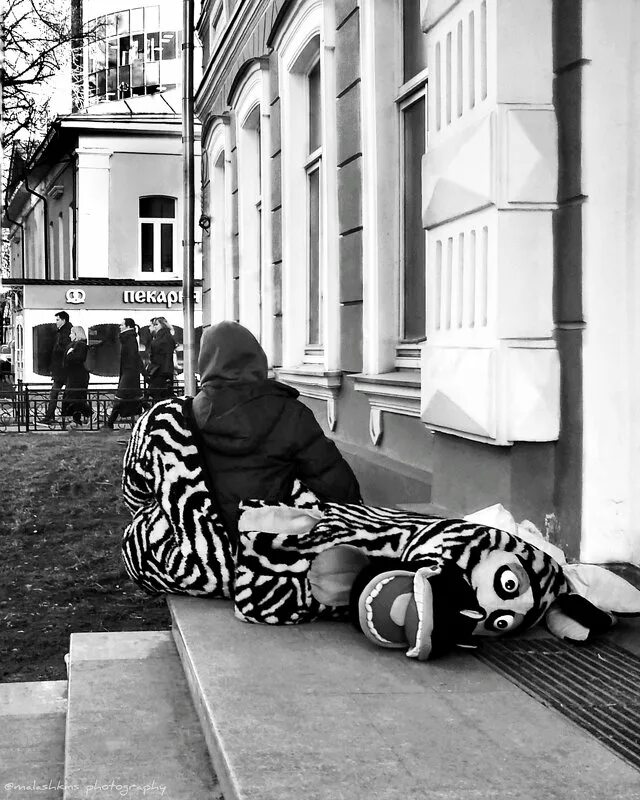 укатали сивку горки. ржака картинки приколы. сивку крутые горки. умотали сивку кривые горки. сивку крутые горки.