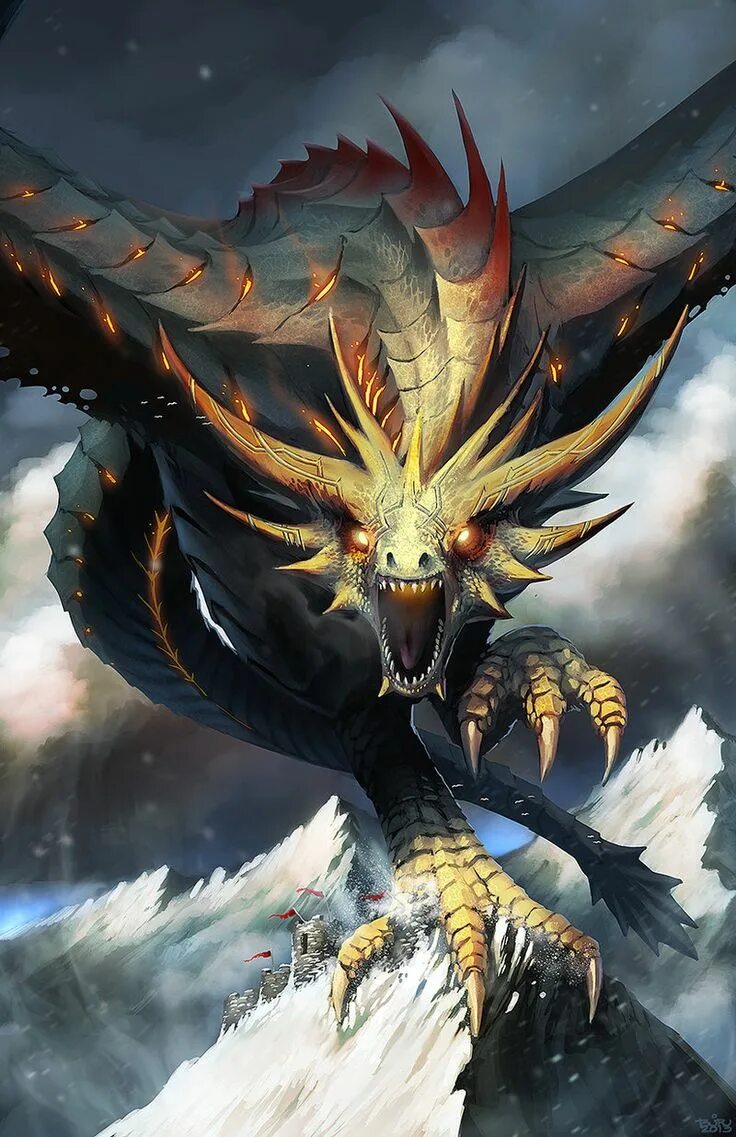 Fantasy Drachen Wallpaper 1920x1352 Dragon images, Fantasy dragon, Dragon pictur