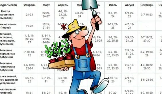 Лунно посевной календарь май 2024 года садовода