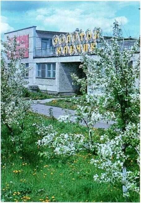 детский сад советская гавань. детский сад гавань. поселок лососина лососина советская гавань. детский сад гавань. советская гавань ул киевская 14.