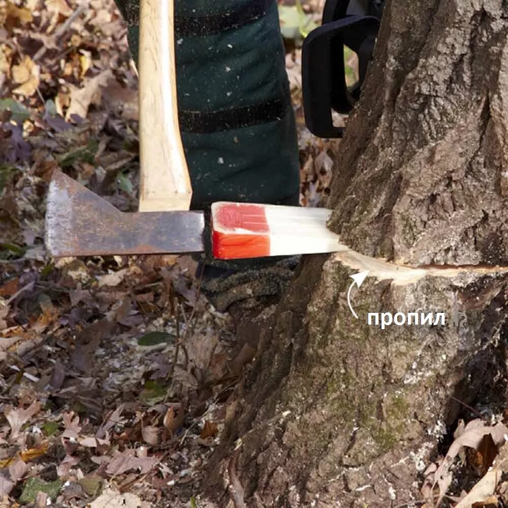 Как быстро спилить