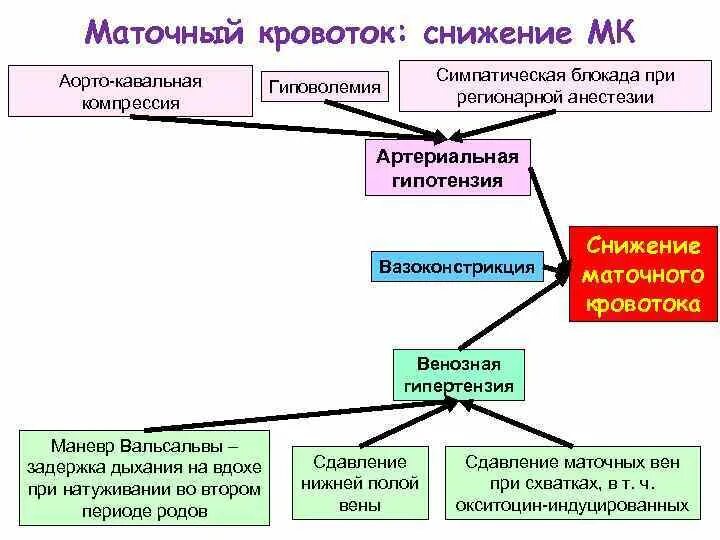 Повышен маточный кровоток. Снижение кровотока. изменения гемодинамики при беременности. физиологические изменения гемодинамики при беременности.