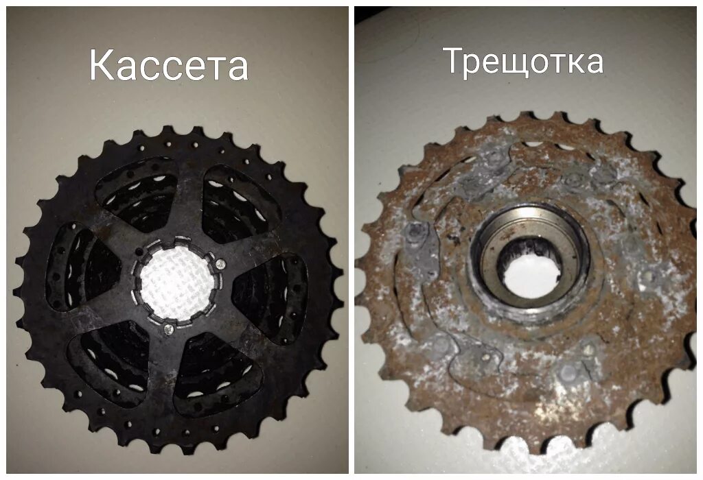 Чем отличаются кассеты. Трещотка и кассета отличия. Кассета и трещотка велосипеда отличия. Разница кассеты и трещотки на велосипеде. Отличие трещётки от кассеты.