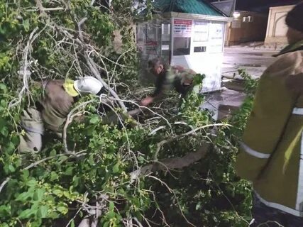 Ураган одежду рвет