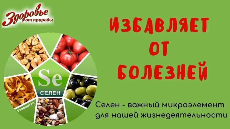 Органический селен. Селен Сибирское. Органический селен - Essential Minerals. Селен от Сибирского здоровья. Селен адрес