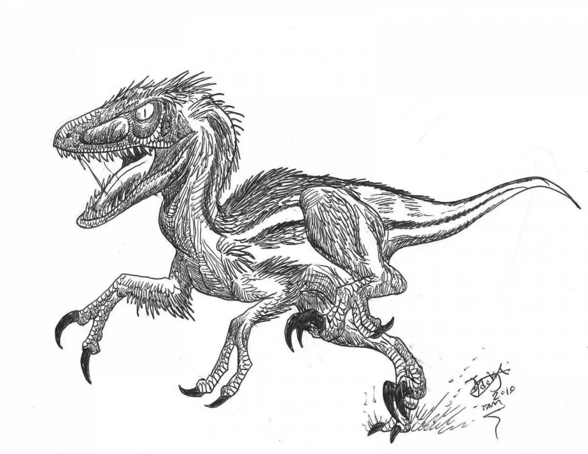 Раптор раскраска. Велоцераптор карандашом. Как разукрасить раптора. Рисовать раптора. Раптор карандашом.