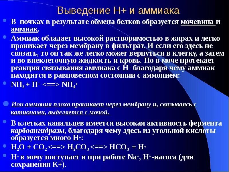 Мочевина продукт распада. Выведение аммиака. Выведение мочевины почками. Аммиак мочевина мочевая кислота. Аммиак в почках.