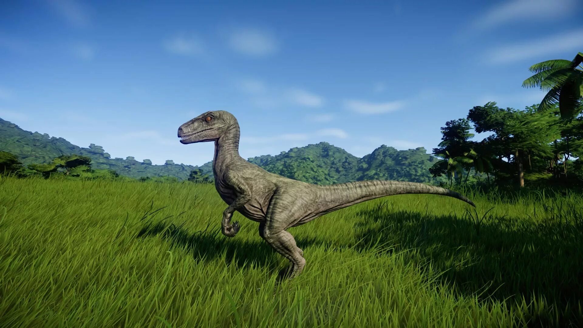 Динозавр картинки игры. Velociraptor Jurassic World Evolution. Велоцераптор Jurassic World Evolution 2. Велоцераптор Jurassic World Evolution. Jurassic World Evolution 2 Велоцираптор.