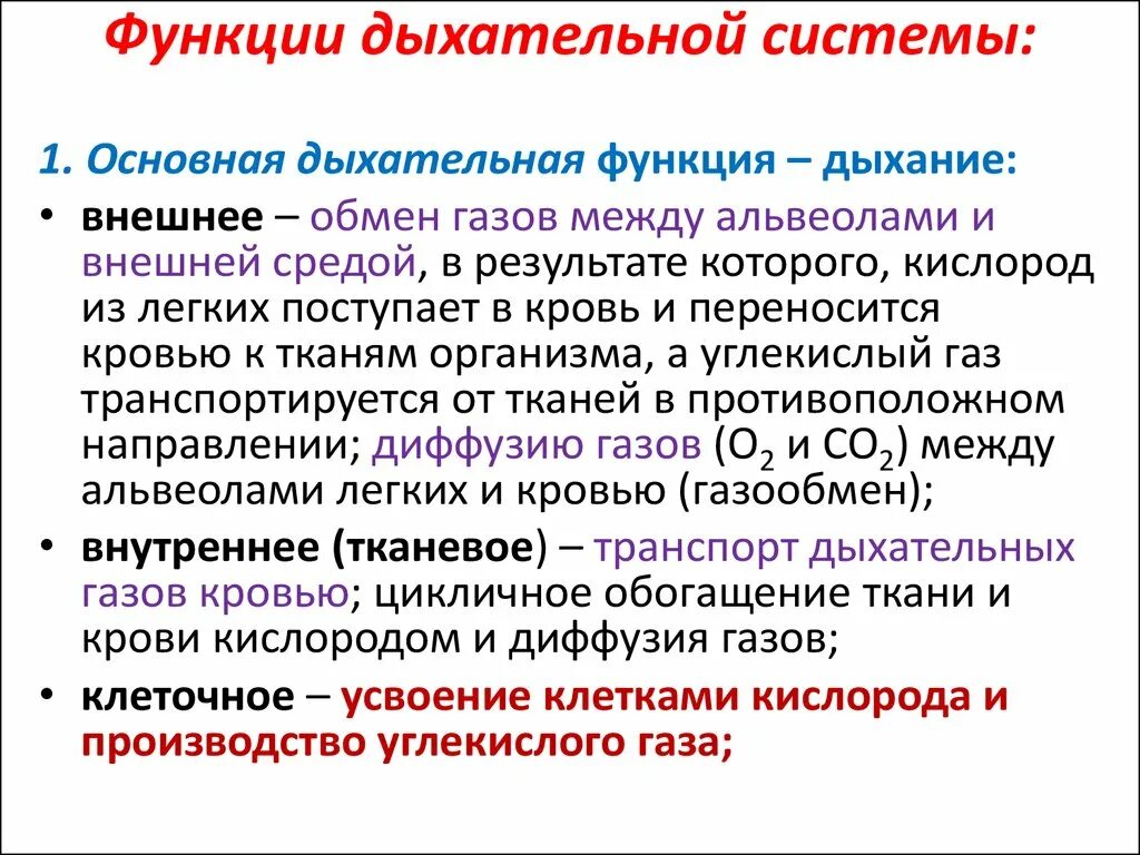 Дыхательную функцию выполняют клетки. Перечислите функции системы дыхания. Функции дыхатеоьной сис. Функции дыхательной системы человека. Основные функции системы органов дыхания.