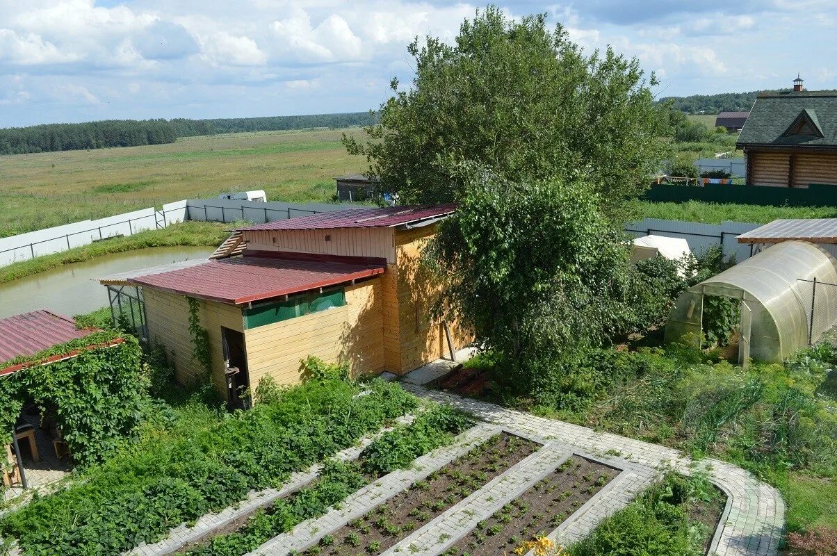 Как выкупить лпх. Продукция подсобного хозяйства. доможировский лпх. утайский лпх. продукты лпх.